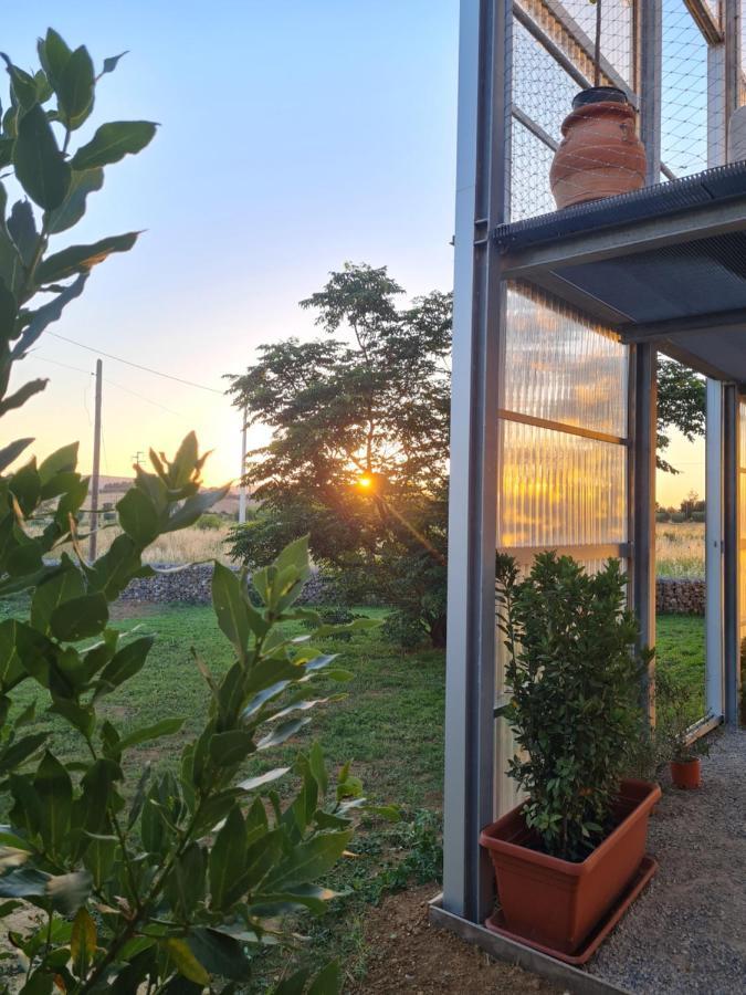 Anonima Agricola Villa Orbetello Ngoại thất bức ảnh